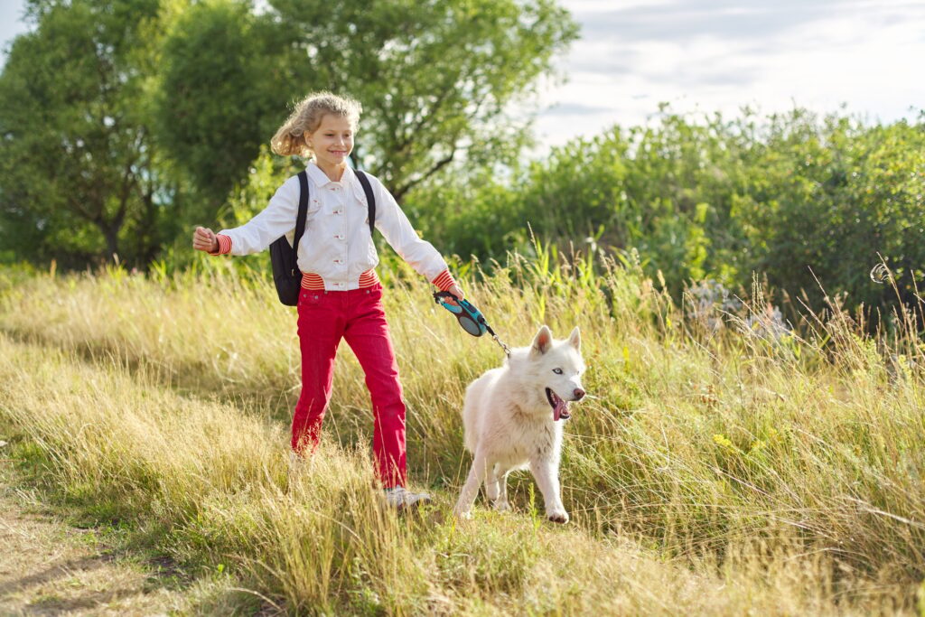 Walk girl with dog in nature, run child with pet in sunny meadow